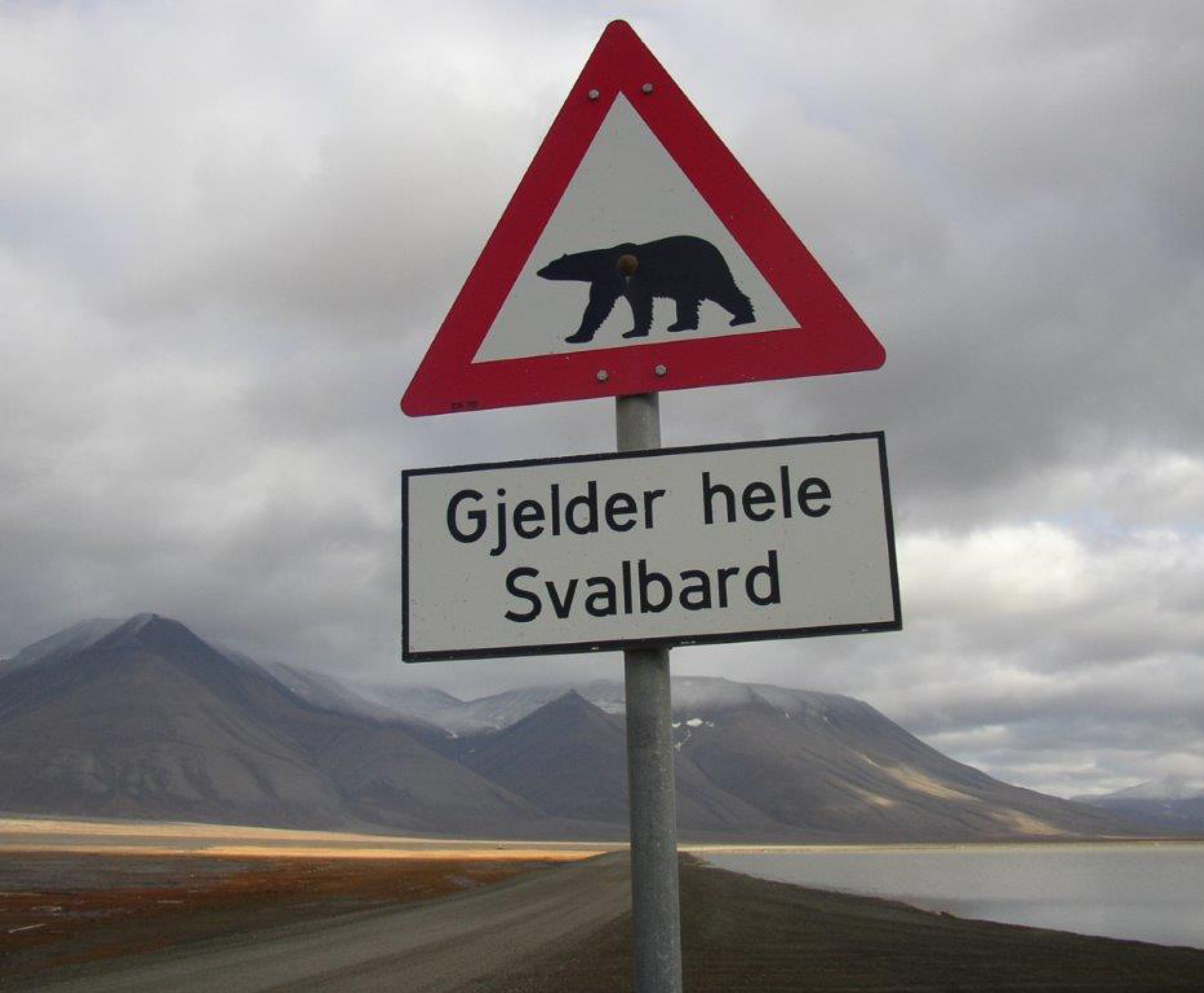 en vägskylt som varnar för isbjörnar.